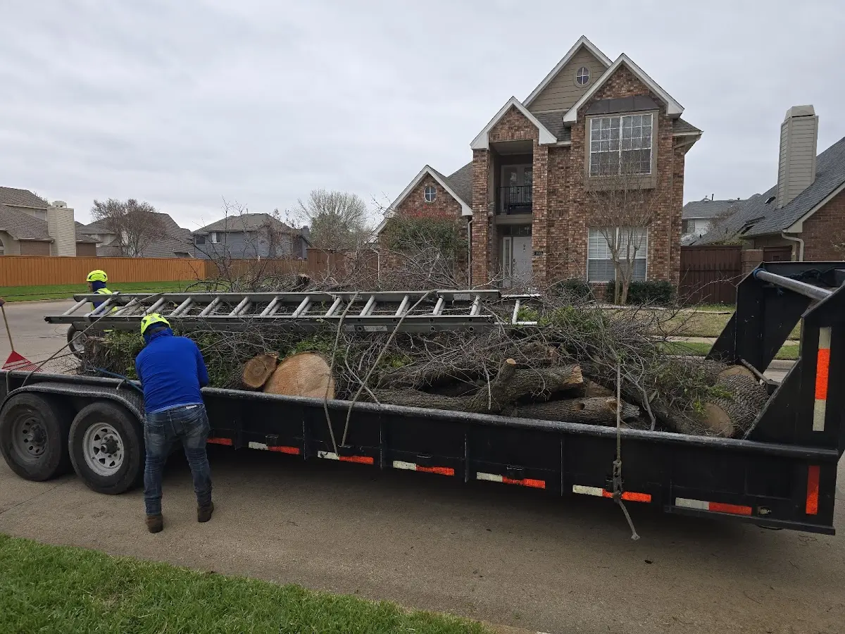 Expert Tree Fertilization with proper safety equipment in Ralph